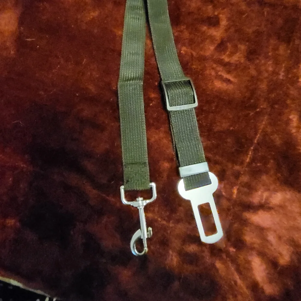 ATTENTION PET LOVERS! DOGGIE SEATBELT
